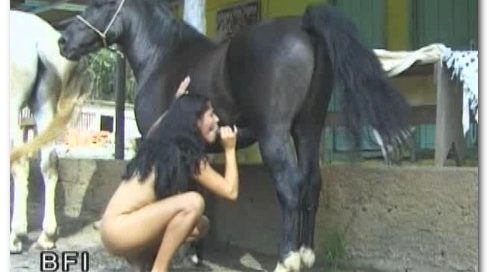 Real horse fucking girls