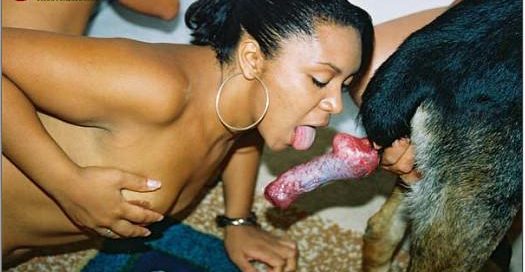 B_Photoset228