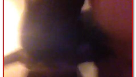 HomeMade Zoophilia 109