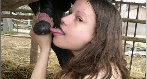 B_Photoset154