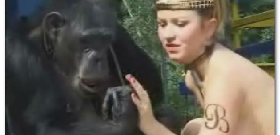 Zoo Siesta - Girl And Monkey