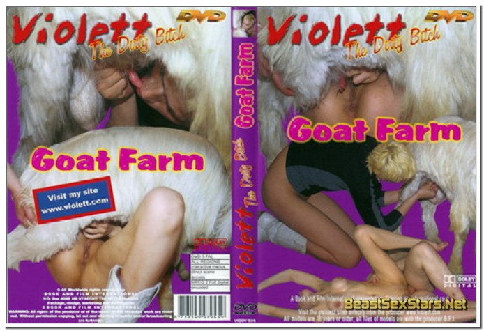 Violett - Goat Farm