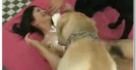 101 - Beautiful Jap Girl Fucks Guy Then Dog