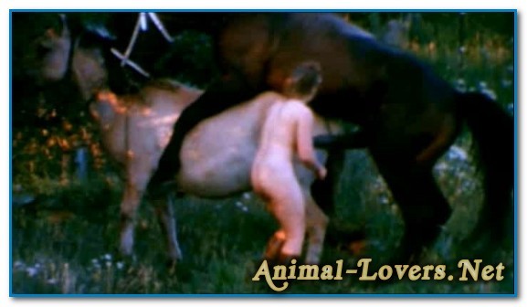 Bodil Joensen - Animal Sex Pornstars - The Search For Animal Farm