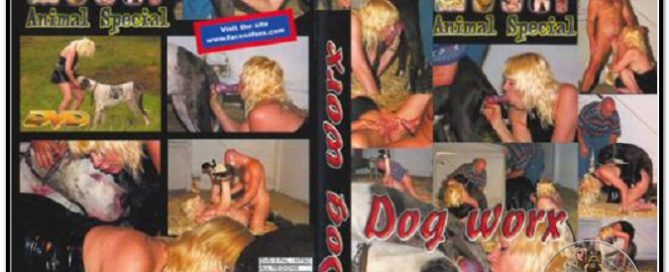 Animal Special - Dog Worx