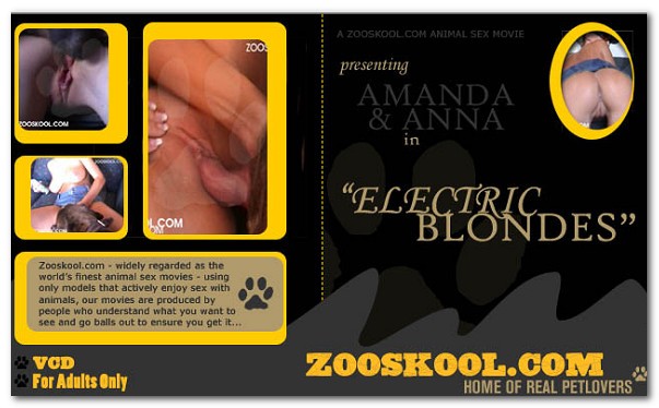 Home Of Real PetLover - Electric Blonds