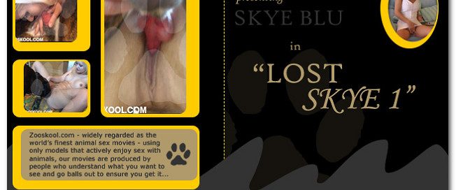 Home Of Real PetLover - Skye Blue Lost Skye 1