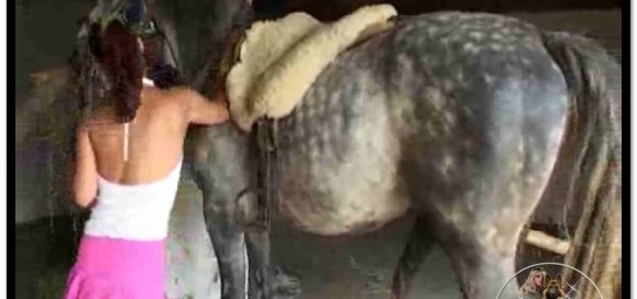 090 - Grey Stallion Fucks Nasty Slut