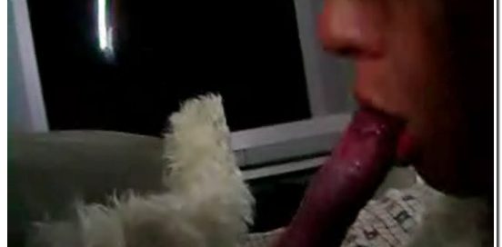 Amateur ZooSex - Home Made Suck