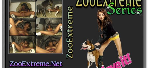 ZooExtreme Serie 11