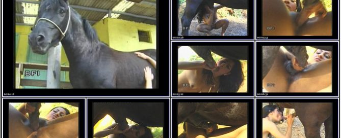 0027 - EXTREME SCENES OF SEX WITH VARIOUS ANIMALS