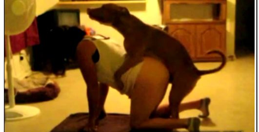 Amateur ZooSex - Hot Girl Humped