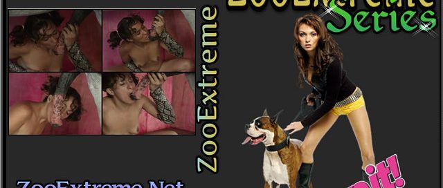 ZooExtreme Serie 29