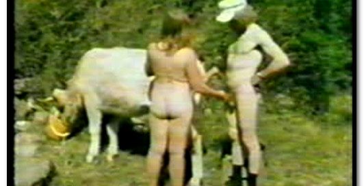 Bodil Joensen - Animal Sex Pornstars - Farm Sex