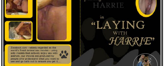 Home Of Real PetLover - Harrie Laying With Harrie