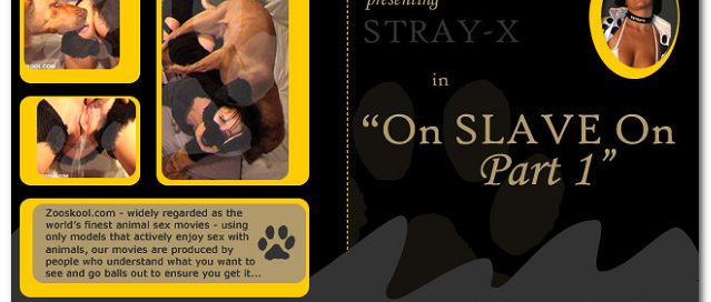 Home Of Real PetLover - Strayx On Slave On 1