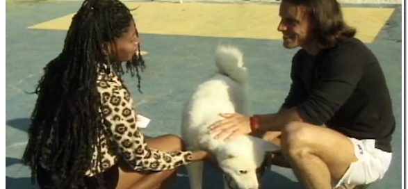 Black Girl And Two Dogs