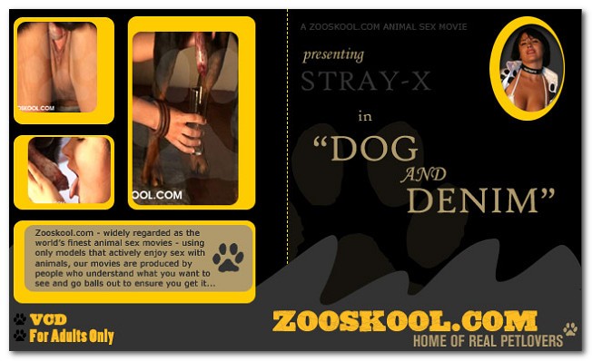 Home Of Real PetLover - Strayx Dog And Denim