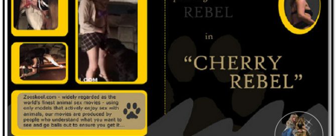 Home Of Real PetLover - Rebel Cherry Rebel