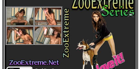 ZooExtreme Serie 19