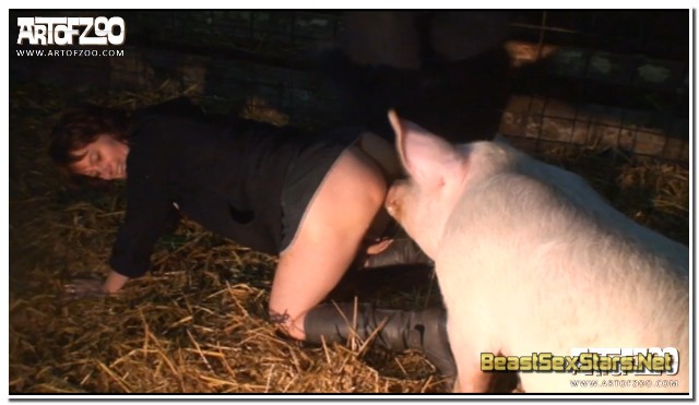 04 - Wild Boar Fucks A Girl - Sex With Pigs