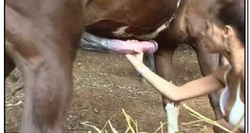 116 - Horse Cumswallow Anal