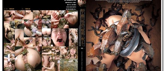 [DGEN011] rogくカエルとウナギに違反