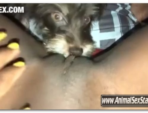 Amateur ZooSex – Part 2 Puppy Eats Me On My Period