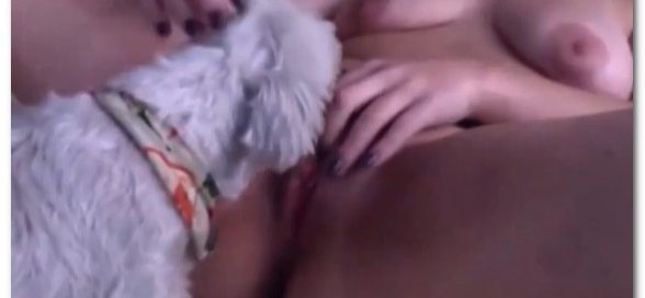 062 Bestiality Lovers - Licked By Her Horny Puppy Zoosbook