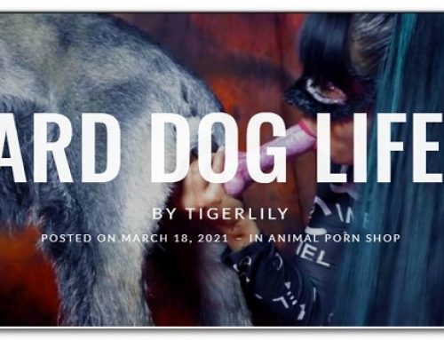 Tigerlily – Hard Dog Life 2