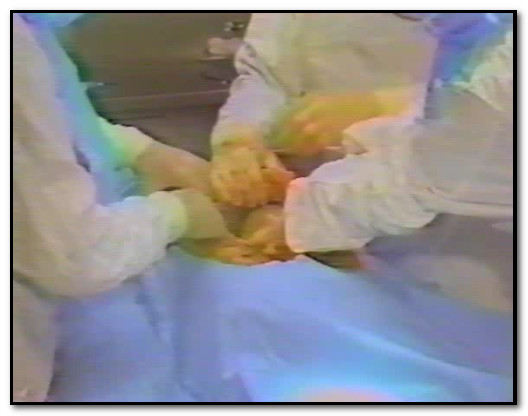 Death - The Final Journey 1 (Final Journeys 1) 1998