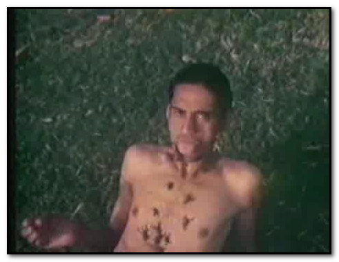 D.O.A. - Animal Attack People , People Attack Animals 1996