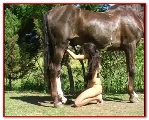 Giselle Loves Horsecum