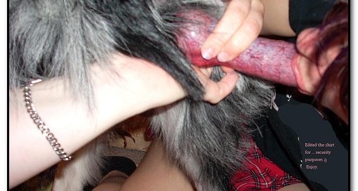 Real amateur animalsex photoset 101