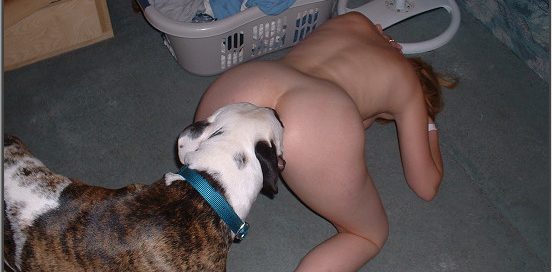 Real amateur animalsex photoset 164