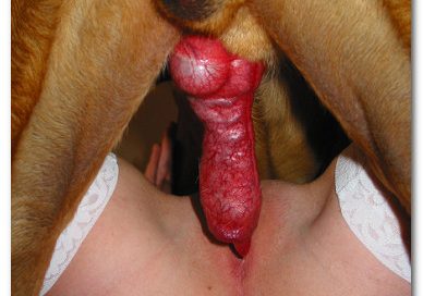 Real amateur animalsex photoset 029