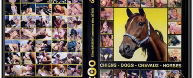 Zoo 3 - Chiens - Dogs - Chevaux - Horses