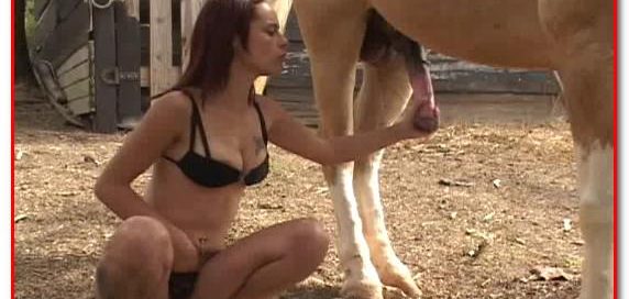 Aline with Horse