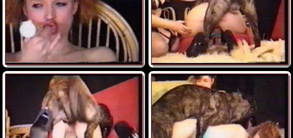 Animal Sex And Scat Porn Movies And Scenes