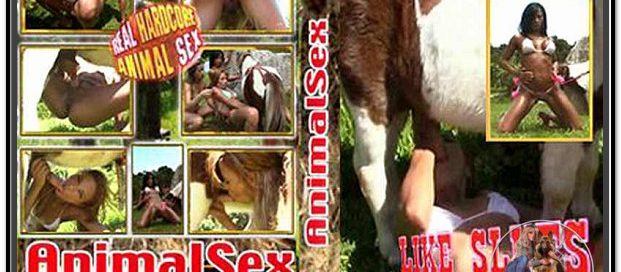 Animal Sex - Like Sluts