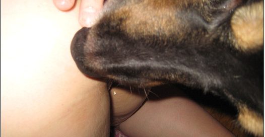 Real amateur animalsex photoset 116