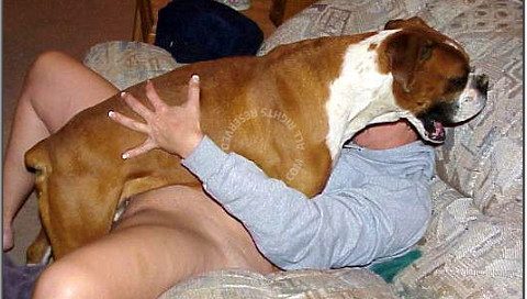 Real amateur animalsex photoset 130