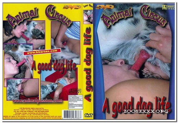 Animal Circus - A Good Dog Life
