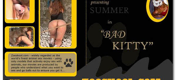 Home Of Real PetLover - Bad Kitty