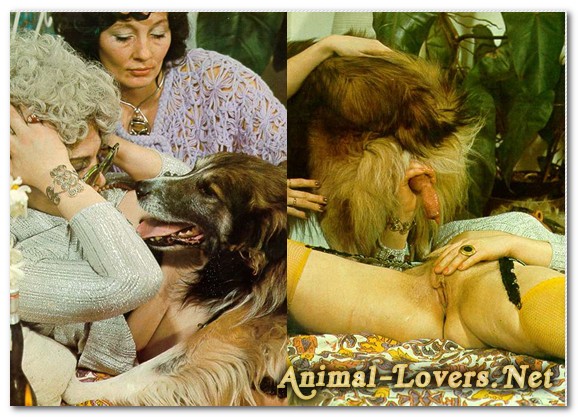 Bodil Joensen - Animal Sex Pornstars - Animal Climax Pics
