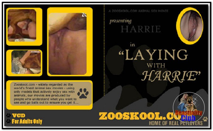 Home Of Real PetLover - Harrie Laying With Harrie