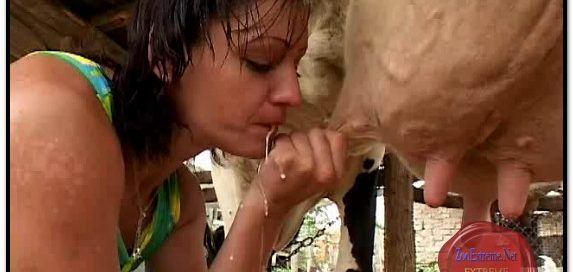 Breast fed By A Cow