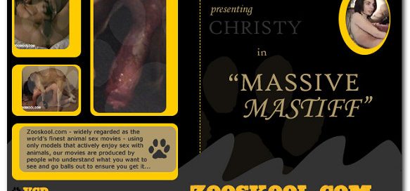 Home Of Real PetLover - Christy Massive Mastiff