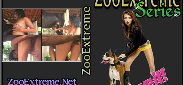 ZooExtreme Serie 28