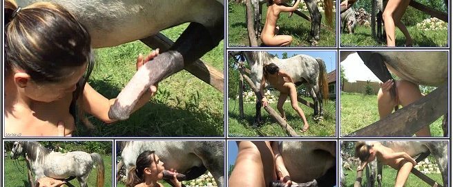 0096 - EXTREME SEX SCENES WITH HORSES